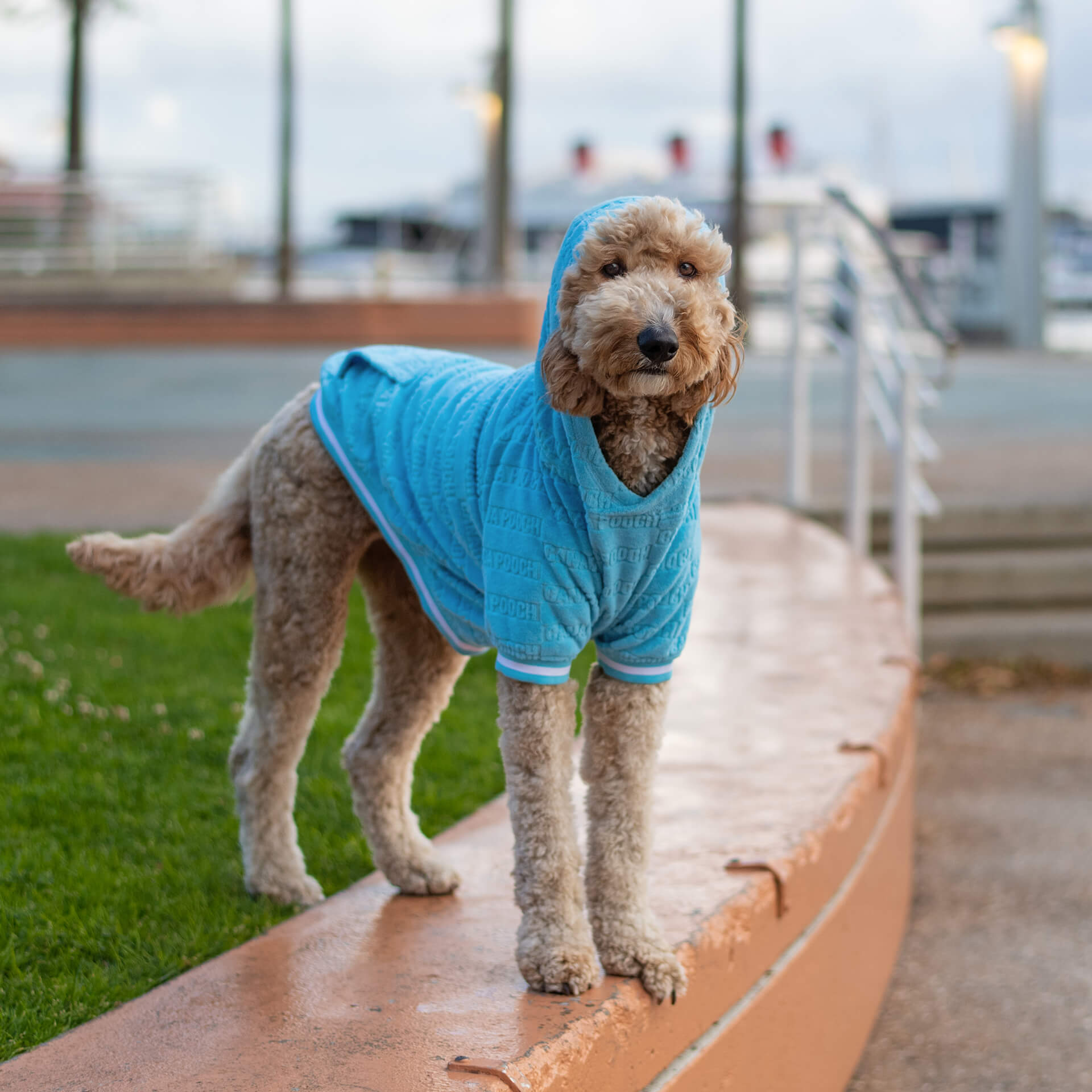 Beach Bum Towel Hoodie N0