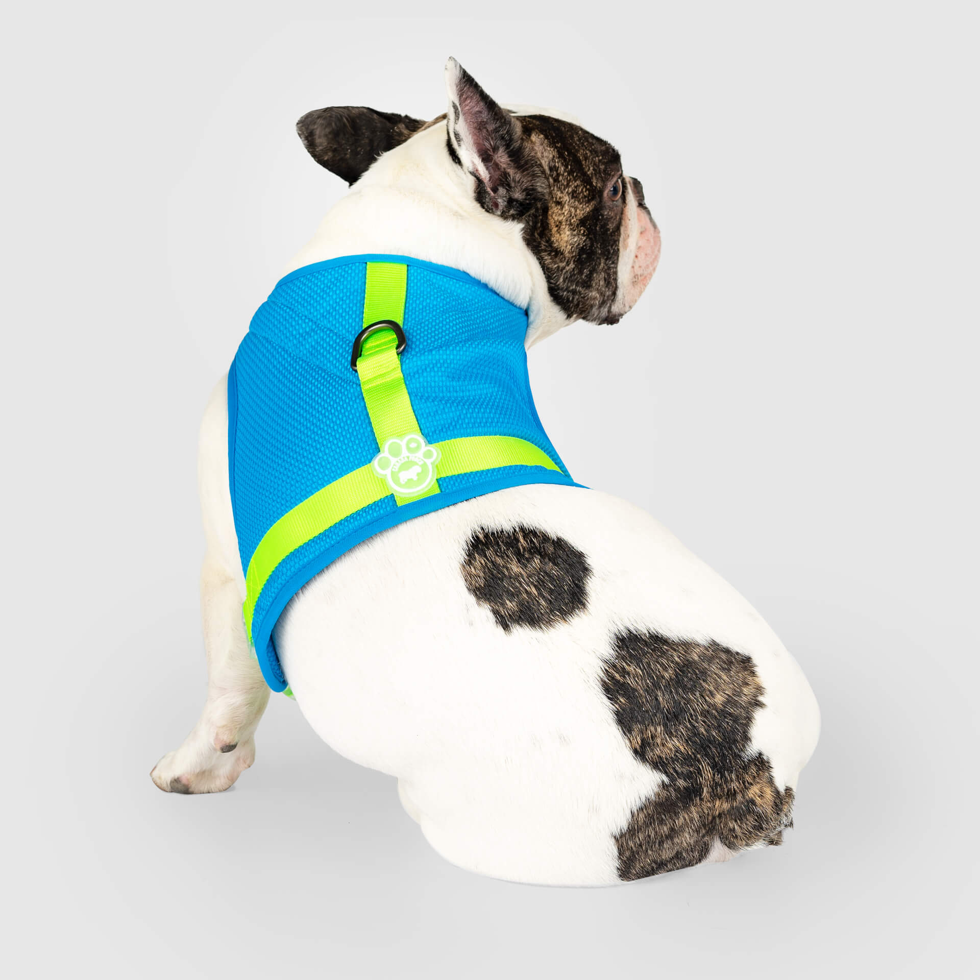 Chill Seeker Cooling Harness Q4