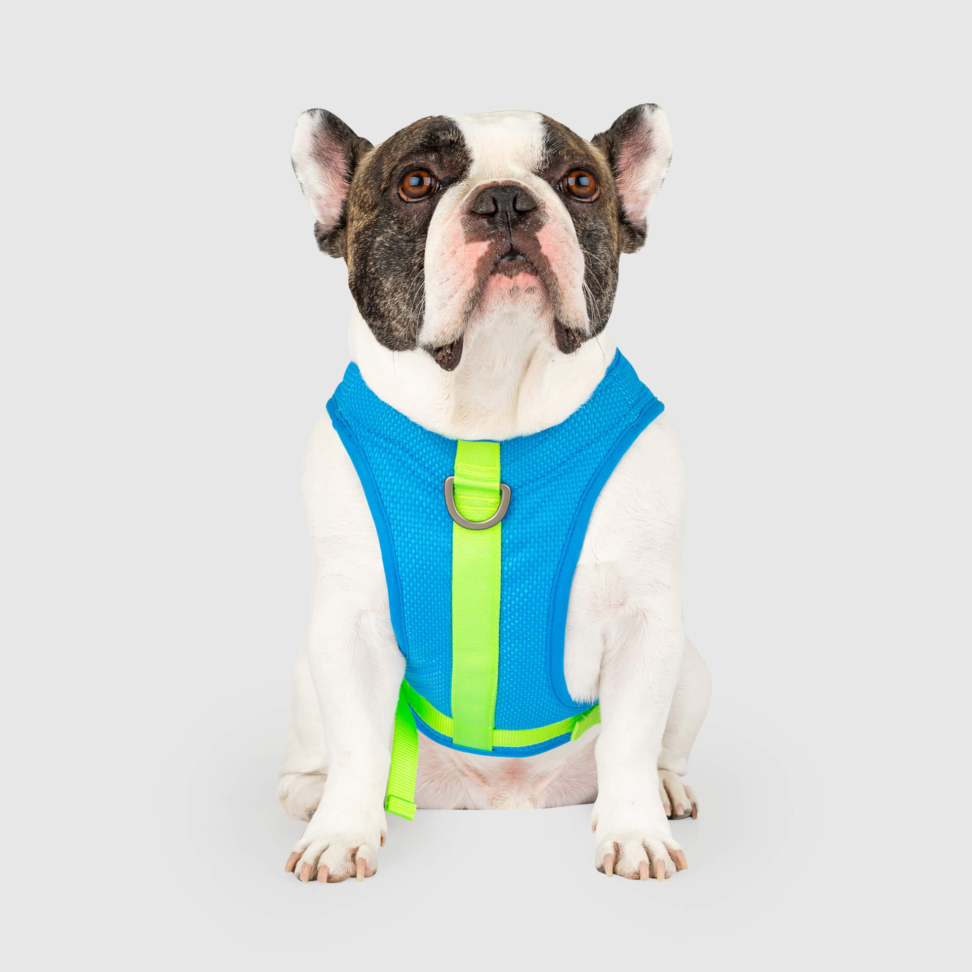 Chill Seeker Cooling Harness Q4