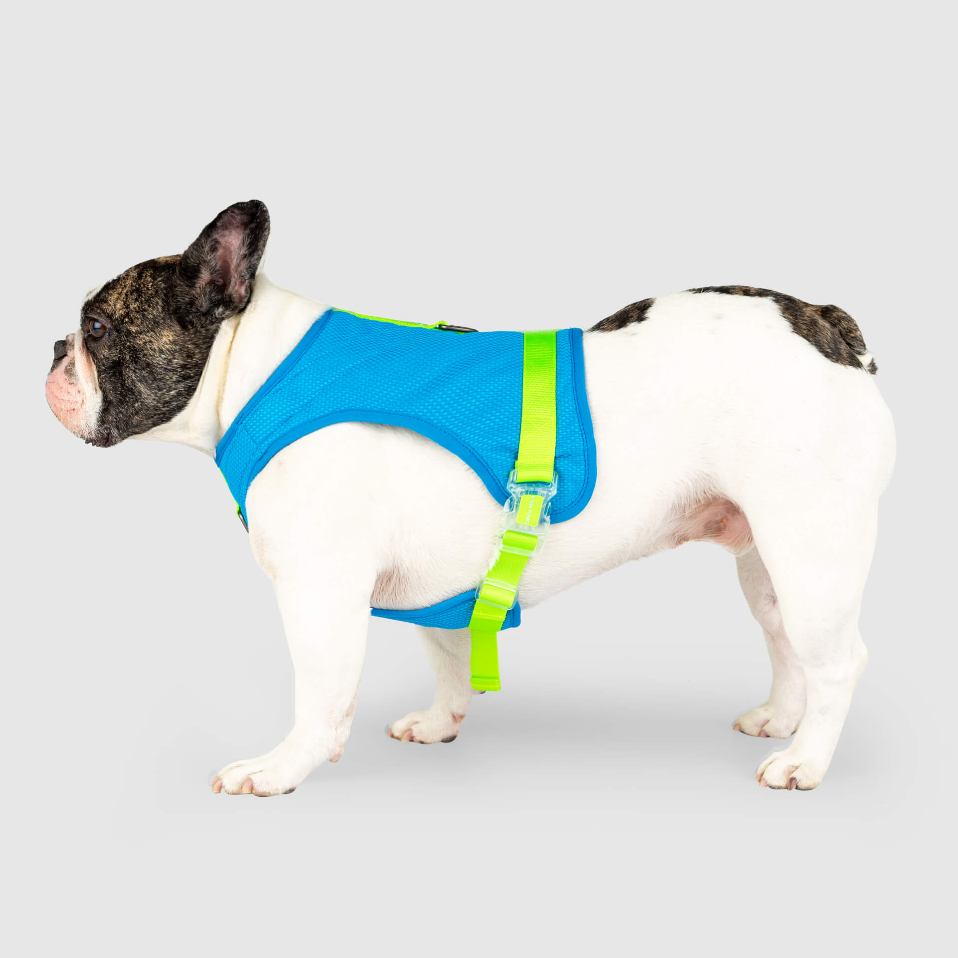 Chill Seeker Cooling Harness Q4