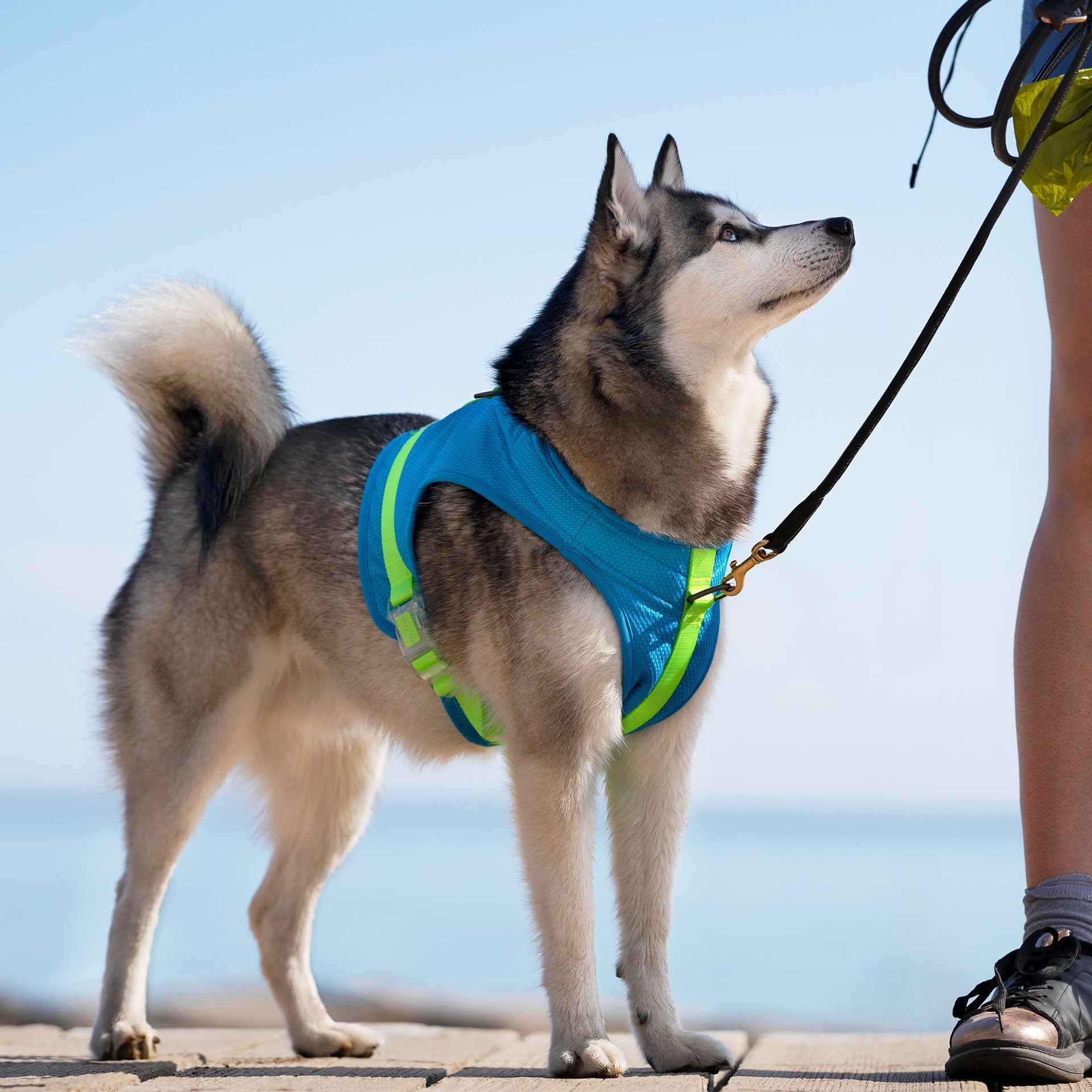 Chill Seeker Cooling Harness Q4