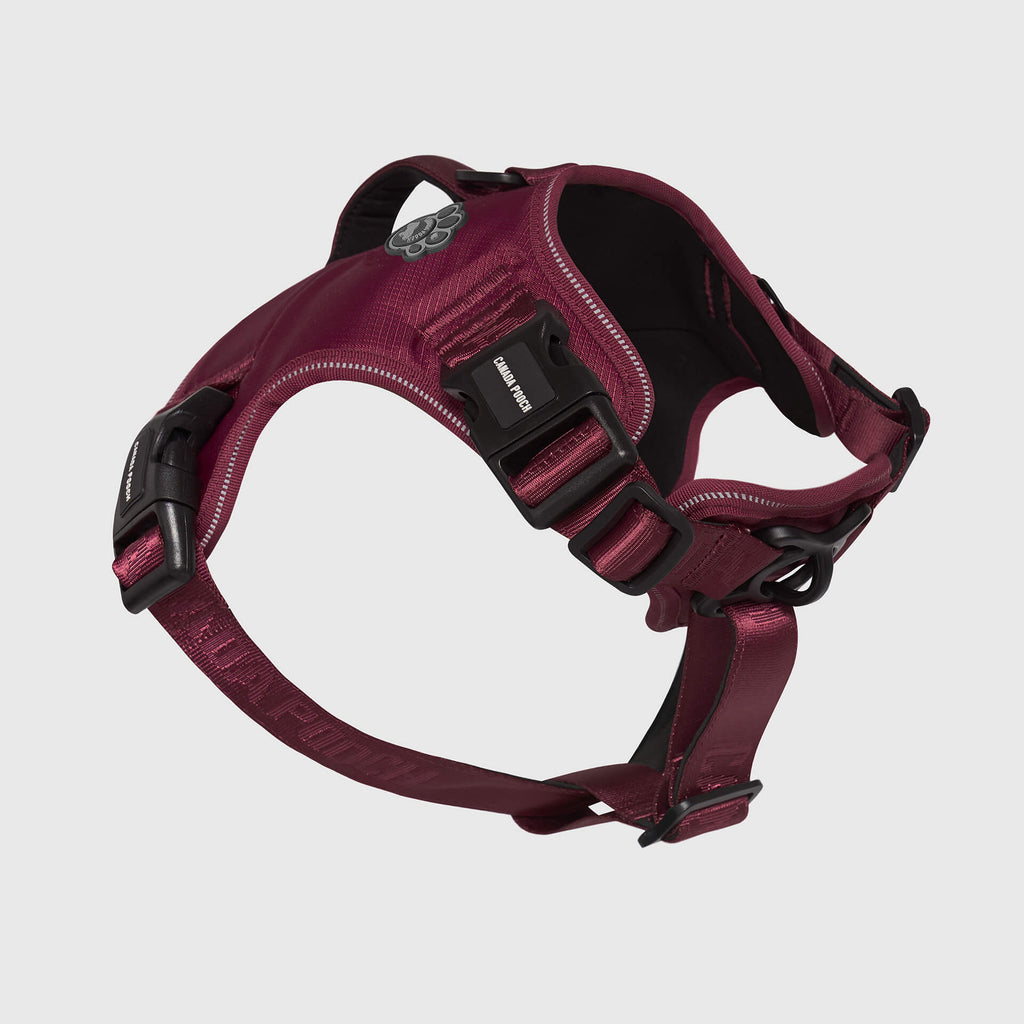 Complete Control Harness