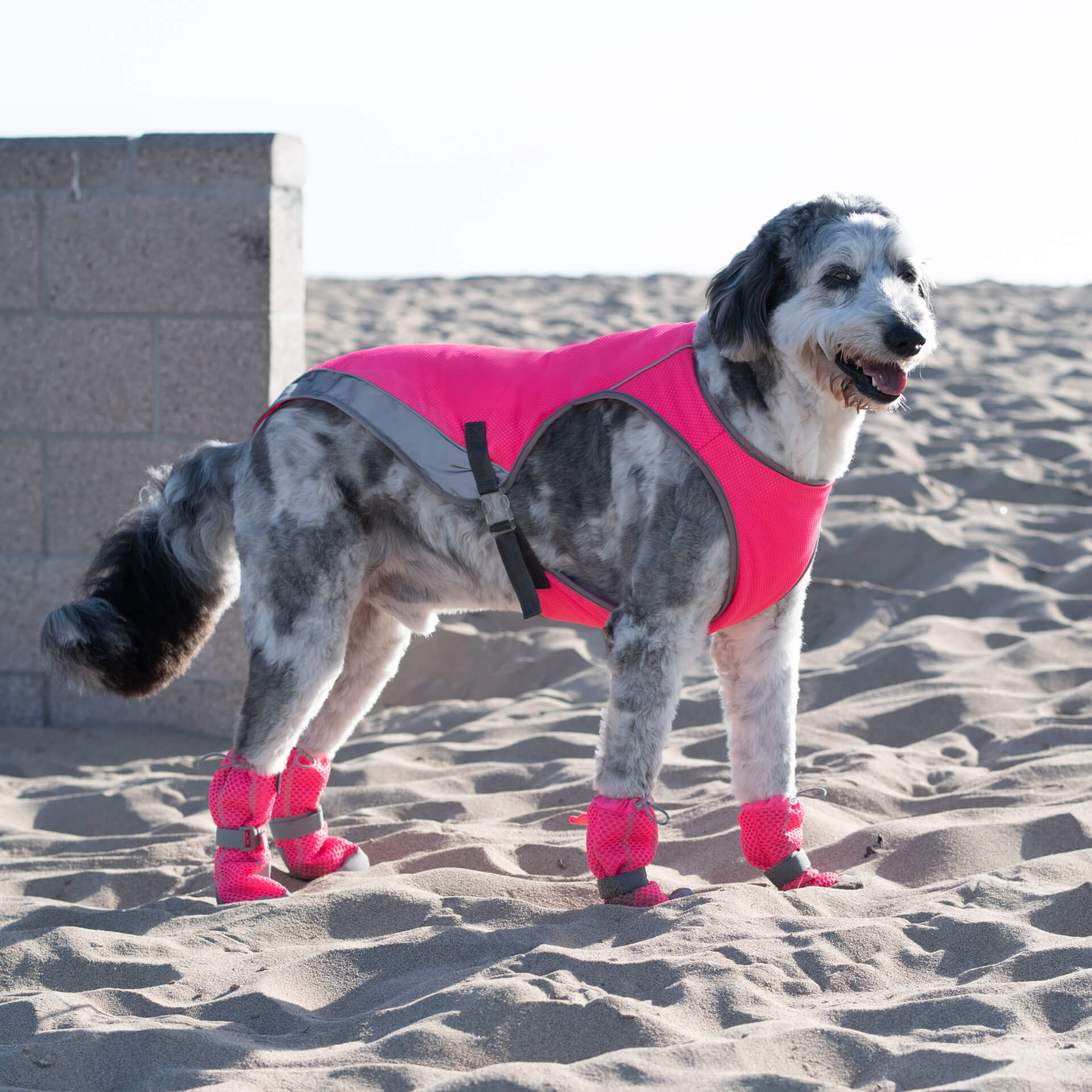 Chill Seeker Cooling Vest